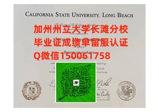 加州州立大学长滩分校毕业证学位证成绩单