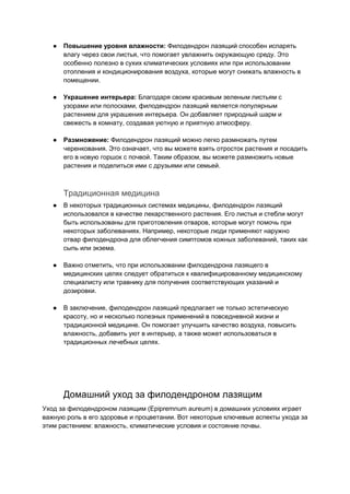 филодендрон лазящий.docx | Free Download