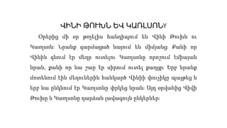 ՎԻՆԻ ԹՈՒԽՆ ԵՎ ԿԱՌԼՍՈՆY
Օրերից մի օր թռչելիս հանդիպում են Վինի Թուխն ու
Կառլսոն։ Նրանք զարմացած նայում են միմյանց։ Քանի որ
Վինին գնում էր մեղր ուտելու Կառլսոնը որոշում էմիայան
նրան, քանի որ նա շաը էր սիրում ուտել քաղցր։ Երբ նրանք
մոտենում էին մեղուներին հանկարծ Վինիի փուչիկը պայթեց և
երբ նա ընկնում էր Կառլսոնը փրկեց նրան։ Այդ օրվանից Վիվի
Թուխը և Կառլսոնը դարձան լավագույն ընկերներ։
 