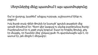 Մեղուներից մեկը պատմում է այս պատմությունը
Շա՜տ վաղուց, կարծեմ՝ անցյալ ուրբաթ, աշխատում էինք ու
բզզում։
Իսկ ծառի տակ Վինի-Թուխն էր նստած՝ գլուխն թաթերի մեջ
արած մտածում էր։ Հետո վեր կացավ ու սկսեց բարձրանալ ծառը։
Բարձրանում էր ու քթի տակ երգում։ Շատ էր հոգնել Թուխը, քիչ
էր մնացել, որ հասներ մեզ՝ ընկավ ցած։ Ու զարմանալին այն է, որ
ասում էր, թե մեղրն է մեղավոր։
 