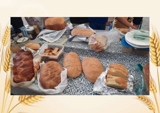 Το ψωμί του κόσμου.docx