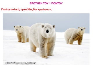 ΕΡΩΤΗΣΗ ΤΟΥ 1 ΠΟΝΤΟΥ
Γιατί οι πολικές αρκούδες δεν κρυώνουν;
https://wwfeu.awsassets.panda.org/
 