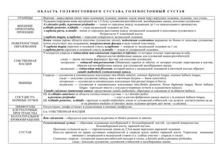 О Б Л А С Т Ь Г О Л Е Н О С Т О П Н О Г О С У С Т А В А. Г О Л Е Н О С Т О П Н Ы Й С У С Т А В
ГРАНИЦЫ Верхняя - циркулярная линия через основания лодыжек; нижняя -косая линия через верхушки лодыжек, подошву, тыл стопы.
ВНЕШНИЕ
ОРИЕНТИРЫ,
ПРОЕКЦИИ
Лодыжки (наружная ниже внутренней на 1,5-2см), сухожилия разгибателей, малоберцовых мышц, ахиллово сухожилие;
A.v.dorsales pedis, n.peroneus profundus — линия от середины между лодыжками до 1-го межпальцевого промежутка;
a.tibialis posterior, n.tibialis — сзади медиальной лодыжки на 2см;
v.saphena parva, n.suralis - линия от середины расстояния между латеральной лодыжкой и ахилловым сухожилием к
бугристости V плюсневой кости;
v.saphena magna, n.saphenus —передняя поверхность медиальной лодыжки.
ПОВЕРХНОСТНЫЕ
ОБРАЗОВАНИЯ
Кожа тонкая (кроме области ахиллова сухожилия, пятки), подкожная клетчатка выражена по бокам от ахиллова сухожилия,
почти отсутствует над лодыжками; поверхностная фасция в виде тонкой пластинки;
V.saphena magna (притоки и основной ствол), n.saphenus — кпереди от медиальной лодыжки на 1 см;
v.saphena parva (притоки и основной ствол), n.suralis — кзади от латеральной лодыжки.
СОБСТВЕННАЯ
ФАСЦИЯ
Утолщается спереди в retinaculum mm.extensorum (superius et inferius), от которых отходят перегородки вглубь,
образуя костно-фиброзные каналы для сухожилий мышц-разгибателей;
сзади — двумя листками формирует футляр для aхиллова сухожилия;
латерально — retinaculi mm.peroneorum (fibularium) superior et inferior, от которых отходят перегородки к костям,
образуя костно-фиброзные каналы для сухожилий малоберцовых мышц;
медиально — retinaculum mm.flexorum, который вместе с медиальной лодыжкой и пяточной костью образует
canalis malleolaris (лодыжковый канал).
МЫШЦЫ
Спереди — сухожилия в синовиальных влагалищах mm.tibialis anterior, extensor digitorum longus, extensor hallucis longus;
сзади — ахиллово сухожилие (между ним и пяточным бугром — bursa synovialis);
латерально — сухожилия в синовиальных влагалищах mm.peronei longus et brevis;
медиально — сухожилия в синовиальных влагалищах mm.tibialis posterior, flexor digitorum longus, flexor hallucis
longus (проходят вместе с сосудисто-нервным пучком в лодыжковом канале);
Canalis calcaneus (пяточный канал)- продолжение canalis malleolaris, образован os calcaneum et m.abductor hallucis.
СОСУДИСТО-
НЕРВНЫЕ ПУЧКИ
(1) A.v.tibiales anteriores (в области голеностопного сустава — а.v.dorsales pedis)
n.peroneus profundus —идут в костно-фиброзном канале вместе с m.extensor hallucis longus;
(2) A.tibialis posterior, n.tibialis - проходят в canalis malleolaris, кзади от сухожилий сгибателей, где делятся соответственно на aa.
et nn.plantares mediales et laterales; выше лодыжки артерия дает ветвь - a.calcanea.
ЛИМФОУЗЛЫ Отсутствуют, лимфа оттекает в подколенные и паховые лимфоузлы.
КЛЕТЧАТОЧНЫЕ
ПРОСТРАНСТВА
См. СОБСТВЕННАЯ ФАСЦИЯ
КОЛЛАТЕРАЛЬНОЕ
КРОВООБРАЩЕНИЕ
Rete calcaneum —образуется анастомозами aa.peronea et tibiales posterior et anterior.
СУСТАВ
Голеностопный сустав — образован лодыжками малоберцовой и большеберцовой костей, суставной поверхностью
большеберцовой кости, таранной костью.
Проекция суставной щели — горизонтальная линия на 2,5см выше верхушки наружной лодыжки.
Капсула крепится по краям суставных поверхностей и спереди вдоль шейки таранной кости. Укреплена мощными
связками с латеральной и медиальной сторон (т.е. слабые участки - спереди и сзади)
Синтопия: спереди - сухожилия мышц-разгибателей пальцев и стопы, a.dorsalis pedis,n.peroneus profundus;
сзади - ахиллово сухожилие, сухожилия сгибателей и малоберцовых мышц.
 