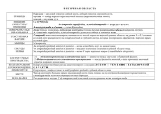 В И С О Ч Н А Я О Б Л А С Т Ь
ГРАНИЦЫ
Передняя — скуловой отросток лобной кости, лобный отросток скуловой кости;
верхняя — контур верхнего края височной мышцы (верхняя височная линия);
нижняя — скуловая дуга.
ВНЕШНИЕ
ОРИЕНТИРЫ
ПРОЕКЦИИ
См ГРАНИЦЫ
A.v.temporales superficiales, n.auriculotemporalis — кпереди от козелка.
A.meningea media и её ветви — схема Кренлейна.
ПОВЕРХНОСТНЫЕ
ОБРАЗОВАНИЯ
Кожа тонкая, подвижная, подкожная клетчатка тонкая, рыхлая; поверхностная фасция выражена листком.
A.v.temporales superficiales, n.auriculotemporalis делятся на лобные и теменные ветви.
СОБСТВЕННАЯ
ФАСЦИЯ
F.temporalis имеет вид апоневроза, начинается от костей черепа по верхней границе области, на уровне 3 —3,5 см выше
скуловой дуги расщепляется на поверхностный и глубокий листки, которые изолированно срастаются с верхним краем
скуловой дуги.
МЫШЦЫ M.temporalis
СОСУДЫ
НЕРВЫ
Aa.temporales profundi anterior et posterior —ветви a.maxillaris, идут по надкостнице;
Vv.temporales profundi anterior et posterior —впадают в венозное сплетение глубокой области лица;
Nn.temporales profundi anterior et posterior —ветви V пары черепных невров (r.mandibularis n.trigemini).
КЛЕТЧАТОЧНЫЕ
ПРОСТРАНСТВА
(1) Межапоневротическая клетчаточная щель — замкнутая между листками собственной фасции;
(2) Подапоневротическое клетчаточное пространство — между фасцией и мышцей, в него проникает височный
отросток жирового комка щеки.
КОЛЛАТЕРАЛЬНОЕ
К РОВООБРАЩЕНИЕ
Поверхностные височные сосуды анастомозируют с сосудами Л О Б Н О — Т Е М Е Н Н О - З А Т Ы Л О Ч Н О Й
О Б Л А С Т И.
ЛИМФООТТОК Отсутствуют, лимфа оттекает в nodi lymphatici profundi глубокой области лица.
КОСТИ
Чешуя височной и большое крыло крыловидной кости очень тонкие, на их внутренней поверхности разветвляется
a.meningea media в соответствующих костных бороздах.
DURA MATER Рыхло связана с костью. С её поверхностной пластиной плотно сращены ветви a.menigea media
 