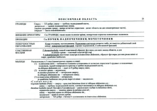 Топка в таблицах.pdf