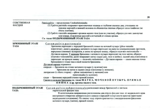 Топка в таблицах.pdf