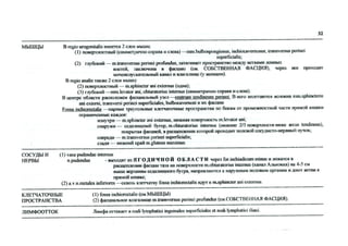 Топка в таблицах.pdf