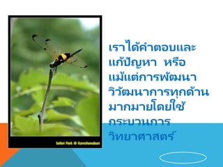 เราได้คาตอบและ
แก้ปัญหา หรือ
แม้แต่การพัฒนา
วิวัฒนาการทุกด้าน
มากมายโดยใช้
กระบวนการ
วิทยาศาสตร ์
11
 