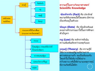 6
ความรู ้ในทางวิทยาศาสตร ์
Scientific Knowledge
ข้อเท็จจริง (Fact) คือ ประจักษ์
พยามที่สังเกตพบได้โดยตรง มีความ
เป็นจริงอยู่ในตัวเอง
ข้อมูล (Data) คือ ข้อเท็จจริงแต่
ละอย่างที่รวบรวมมาใช ้ในการศึกษา
ตัวปัญหา
กฎ (Law) คือ หลักการที่เน้น
ความสัมพันธ์ระหว่างเหตุกับผล
ทฤษฎี (Theory) คือ ความรู้ที่
ได้มาจากสมมุติฐานที่ผ่านการ
ตรวจสอบมาแล้ว จนเป็นที่ยอมรับ
โดยทั่วไปใช ้อธิบายได้อย่าง
กว้างขวาง หรือใช ้ทานายเหตุการณ์
ที่อาจเกิดขึ้นได้อีก
 