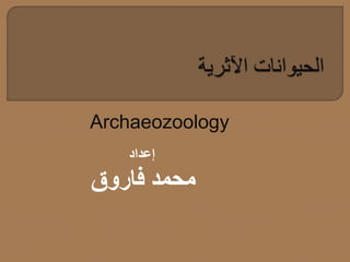 Archaeozoology
‫إعداد‬
‫فاروق‬ ‫محمد‬
 
