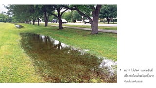 • ควรทำให้เกิดความลาดชันที่
เพียงพอโดยน้ำจะไหลตั้งฉาก
กับเส้นระดับเสมอ
 