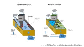 • การทำให้น้ำผิวดินไหลช้าๆ จะมีผลในแง่ดีโดยน้ำจะซึมลงไปในดินได้มาก
 