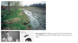 พืชพรรณคลุมดิน: พื#นที'โล่ง ไม่มีพืชพรรณปกคลุมจะมีการไหลของนํ#าบริเวณหน้าดินรวดเร็ว
ฝนขณะที'พื#นที'ที'มีพืชพรรณปกคลุม นํ#าฝนจะไหลได้ช้า ทําให้สามารถลดขนาดของระบบระบาย
นํ#าได้มาก
 