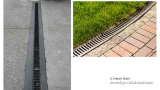 3. French Drain
เป็นรางดักน้ำรูปยาว รับน้ำแล้วปล่อยเข้าท่อต่อไป
 