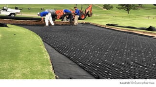 4.แบบตัวดัก ใช้ดักน้ำเฉพาะจุดที่จะมาขังแฉะ
 