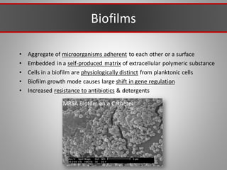 Biofilms
• Aggregate of microorganisms adherent to each other or a surface
• Embedded in a self-produced matrix of extracellular polymeric substance
• Cells in a biofilm are physiologically distinct from planktonic cells
• Biofilm growth mode causes large shift in gene regulation
• Increased resistance to antibiotics & detergents
MRSA Biofilm on a Catheter
 