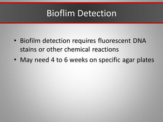 Bioflim Detection
• Biofilm detection requires fluorescent DNA
stains or other chemical reactions
• May need 4 to 6 weeks on specific agar plates
 