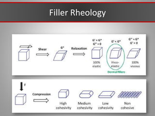 Filler Rheology
 