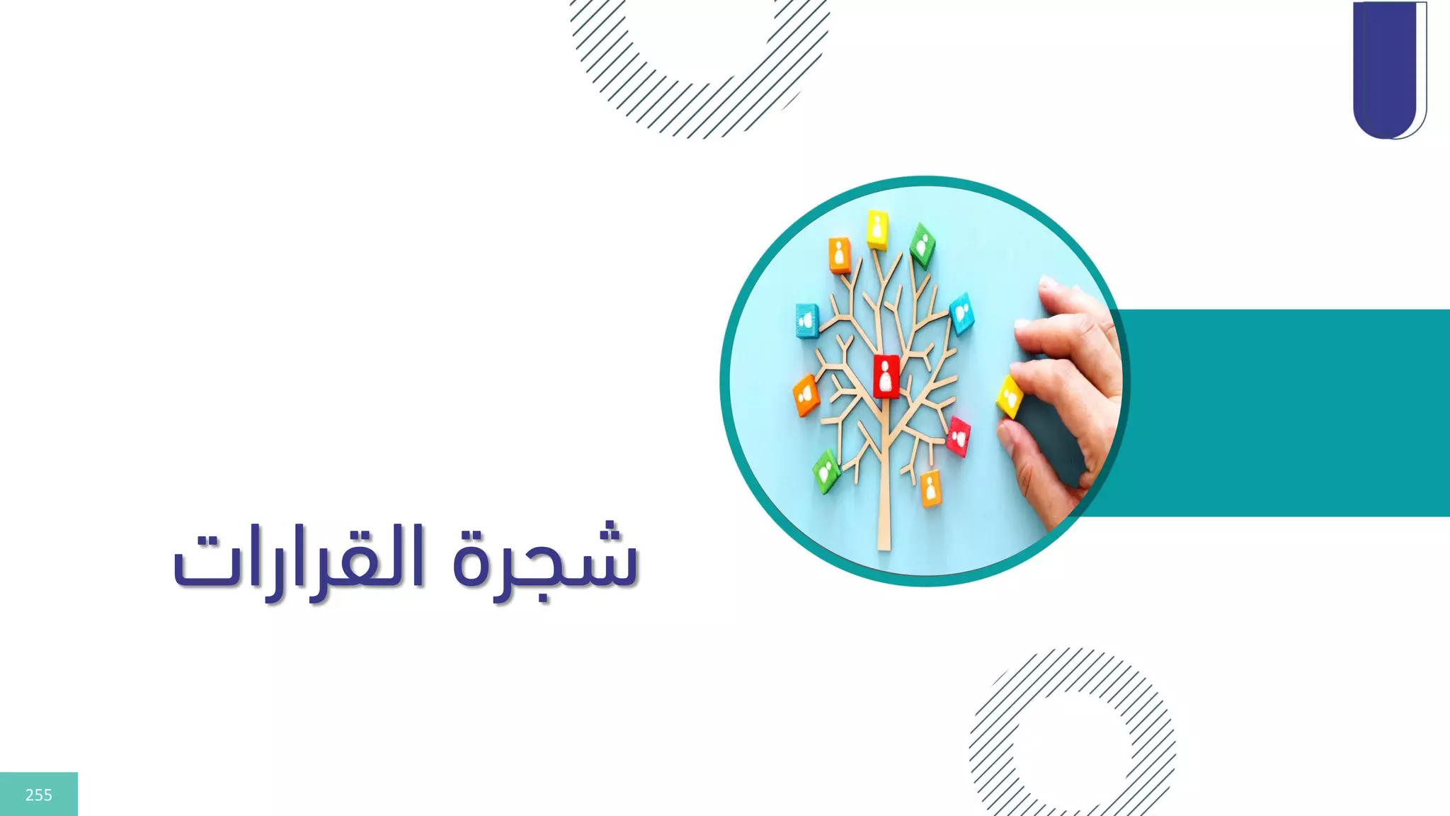 255
‫القرارات‬ ‫شجرة‬
 