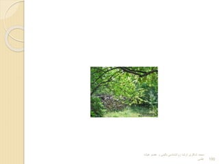 ‫هیات‬ ‫عضو‬ ‫و‬ ‫بالینی‬ ‫روانشناسی‬ ‫ارشد‬ ‫شاکری‬ ‫محمد‬
‫علمی‬ 100
 