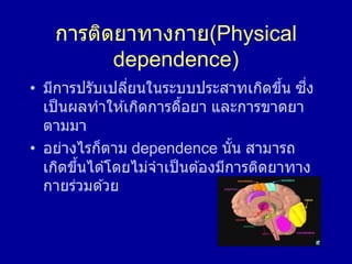 การติดยาทางกาย(Physical
dependence)
• มีการปรับเปลี่ยนในระบบประสาทเกิดขึ้น ซี่ง
เป็นผลทาให ้เกิดการดื้อยา และการขาดยา
ตามมา
• อย่างไรก็ตาม dependence นั้น สามารถ
เกิดขึ้นได ้โดยไม่จาเป็นต ้องมีการติดยาทาง
กายร่วมด ้วย
 