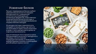 Химия нашего тела.pptx