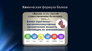 Химия нашего тела.pptx