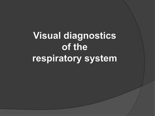 Visual diagnostics
of the
respiratory system
 