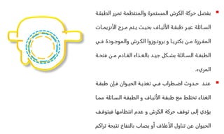 الكرش.pptx