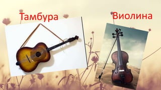 Тамбура Виолина
 
