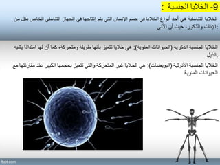 : 9
-
‫الجنسية‬ ‫الخاليا‬
‫من‬ ‫بكل‬ ‫الخاص‬ ‫التناسلي‬ ‫الجهاز‬ ‫في‬ ‫إنتاجها‬ ‫يتم‬ ‫التي‬ ‫اإلنسان‬ ‫جسم‬ ‫في‬ ‫الخاليا‬ ‫أنواع‬ ‫أحد‬ ‫هي‬ ‫التناسلية‬ ‫الخاليا‬
‫اآلتي‬ ‫أن‬ ‫حيث‬ ،‫والذكور‬ ‫اإلناث‬:
‫الذكرية‬ ‫الجنسية‬ ‫الخاليا‬
(
‫المنوية‬ ‫الحيوانات‬
:)
‫يشبه‬ ‫ًا‬‫د‬‫امتدا‬ ‫لها‬ ‫أن‬ ‫كما‬ ،‫ومتحركة‬ ‫طويلة‬ ‫بأنها‬ ‫تتميز‬ ‫خاليا‬ ‫هي‬
‫الذيل‬.
‫األنوثية‬ ‫الجنسية‬ ‫الخاليا‬
(
‫البويضات‬
:)
‫مع‬ ‫مقارنتها‬ ‫عند‬ ‫الكبير‬ ‫بحجمها‬ ‫تتميز‬ ‫والتي‬ ‫المتحركة‬ ‫غير‬ ‫الخاليا‬ ‫هي‬
‫المنوية‬ ‫الحيوانات‬
 