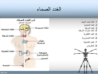 ‫الصماء‬ ‫الغدد‬
1
.
‫المهاد‬ ‫تحت‬ ‫الغدة‬
2
.
‫النخامية‬ ‫الغدة‬
3
.
‫الدرقية‬ ‫الغدة‬
4
.
‫الدرقية‬ ‫جارات‬ ‫الغدد‬
5
.
‫الكظرية‬ ‫الغدد‬
6
.
‫الصنوبرية‬ ‫الغدة‬
7
.
‫التناسلية‬ ‫الغدد‬
8
.
‫البنكرياس‬
 