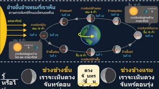 รู้
หรือไ
ช่วงข้างขึ้น
เราจะเห็นดวง
จันทร์ตอน
ช่วงข้างแรม
เราจะเห็นดวง
จันทร์ตอนรุ่ง
ดวง
จั นทร
์์ขึ้ น
ช้ าวั น
 