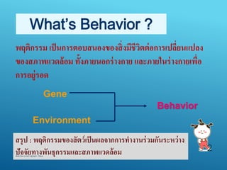 What’s Behavior ?
Gene
Environment
Behavior
พฤติกรรม เป็นการตอบสนองของสิ่งมีชีวิตต่อการเปลี่ยนแปลง
ของสภาพแวดล้อม ทั้งภายนอกร่างกาย และภายในร่างกายเพื่อ
การอยู่รอด
สรุป : พฤติกรรมของสัตว์เป็นผลจากการทางานร่วมกันระหว่าง
ปัจจัยทางพันธุกรรมและสภาพแวดล้อม
จัดทำโดย นำงสำวสุกฤตำ โสมล
2
 