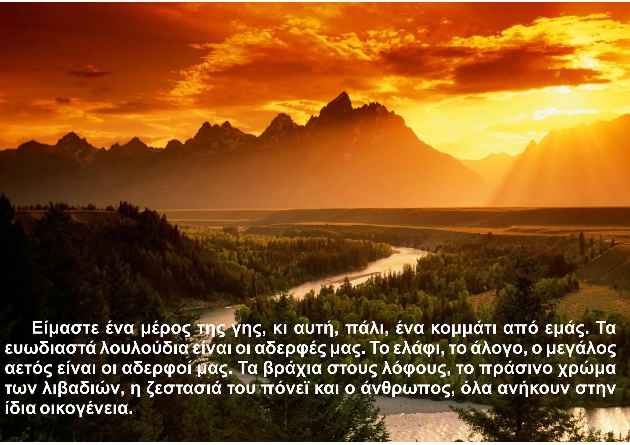 Είμαστε ένα μέρος της γης, κι αυτή, πάλι, ένα κομμάτι από εμάς. Τα
ευωδιαστά λουλούδια είναι οι αδερφές μας. Το ελάφι, το άλογο, ο μεγάλος
αετός είναι οι αδερφοί μας. Τα βράχια στους λόφους, το πράσινο χρώμα
των λιβαδιών, η ζεστασιά του πόνεϊ και ο άνθρωπος, όλα ανήκουν στην
ίδια οικογένεια.
 