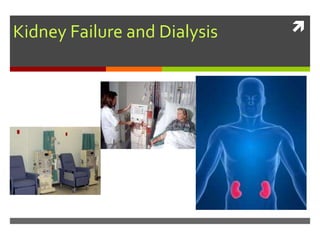 
Kidney Failure and Dialysis
 
