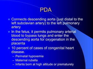 PDA
 Connects descending aorta (just distal to the
left subclavian artery) to the left pulmonary
artery
 In the fetus, it permits pulmonary arterial
blood to bypass lungs and enter the
descending aorta for oxygenation in the
placenta
 10 percent of cases of congenital heart
disease.
– Perinatal hypoxemia
– Maternal rubella
– Infants born at high altitude or prematurely
 