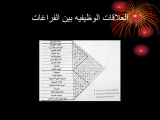 ‫الفراغات‬ ‫بين‬ ‫الوظيفيه‬ ‫العالقات‬
 