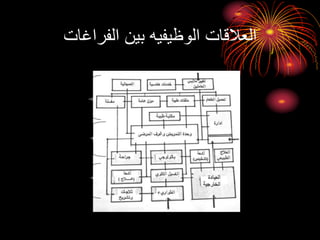 ‫الفراغات‬ ‫بين‬ ‫الوظيفيه‬ ‫العالقات‬
 