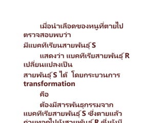 เมื่อนาเลือดของหนูที่ตาย
ไป
ตรวจสอบพบว่า
มีแบคทีเรียนสายพันธุ ์S
แสดงว่า แบคทีเรียสายพันธุ ์R
เปลี่ยนแปลงเป็ น
สายพันธุ ์S ได้ โดยกระบวนการ
transformation
คือ
ต้องมีสารพัȨุกรรมจาก
แบคทีเรียสายพันธุ ์S ซึ่งตายแล้ว
่
 
