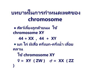 บทบาทในการกาหนดเพศของ
chromosome
สัตว์เลี้ยงลูกด้วยนม ใช้
chromosome XY
44 + XX , 44 + XY
นก ไก่ ผีเสื้อ ครึ่งบก-ครึ่งน้า เลื้อย
คลาน
ใช้ chromosome XY
♀ = XY ( ZW ) ♂ = XX ( ZZ
)
 