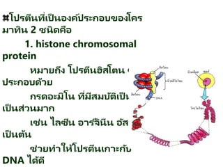 โปรตีนที่เป็ นองค์ประกอบของโคร
มาทิน 2 ชนิดคือ
1. histone chromosomal
protein
หมายถึง โปรตีนฮิสโตน ซึ่ง
ประกอบด้วย
กรดอะมิโน ที่มีสมบัติเป็ นเบส
เป็ นส่วนมาก
เช่น ไลซีน อาร ์จินีน อัสทิดีน
เป็ นต้น
ช่วยทาให้โปรตีนเกาะกับ
DNA ได้ดี
 