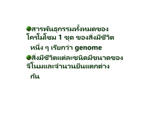 สารพัȨุกรรมทั้งหมดของ
โครโมโซม 1 ชุด ของสิ่งมีชีวิต
หนึ่ง ๆ เรียกว่า genome
สิ่งมีชีวิตแต่ละชนิดมีขนาดของ
จีโนมและจานวนยีนแตกต่าง
กัน
 