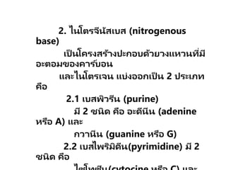 2. ไนโตรจีนัสเบส (nitrogenous
base)
เป็ นโครงสร้างปะกอบด้วยวงแหวนที่มี
อะตอมของคาร ์บอน
และไนโตรเจน แบ่งออกเป็ น 2 ประเภท
คือ
2.1 เบสพิวรีน (purine)
มี 2 ชนิด คือ อะดีนีน (adenine
หรือ A) และ
กวานีน (guanine หรือ G)
2.2 เบสไพริมิดีน(pyrimidine) มี 2
ชนิด คือ
 