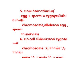 5. ขณะเกิดการสืบพันธุ ์
egg + sperm = zygoyeเป็ นไป
อย่างสุ่ม
chromosome,alleleจาก egg ,
sperm
รวมอย่างสุ่ม
6. ทุก cell ที่พัฒนาจาก zygote
จะมี
chromosome 1/2 จากพ่อ 1/2
จากแม่
1 1
 