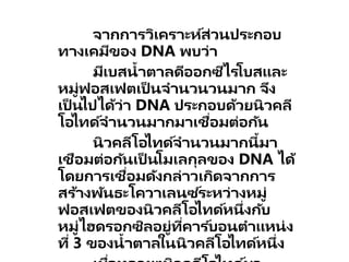 จากการวิเคราะห์ส่วนประกอบ
ทางเคมีของ DNA พบว่า
มีเบสน้าตาลดีออกซีไรโบสและ
หมู่ฟอสเฟตเป็ นจานวนวนมาก จึง
เป็ นไปได้ว่า DNA ประกอบด้วยนิวคลี
โอไทด์จานวนมากมาเชื่อมต่อกัน
นิวคลีโอไทด์จานวนมากนี้มา
เชือมต่อกันเป็ นโมเลกุลของ DNA ได้
โดยการเชื่อมดังกล่าวเกิดจากการ
สร้างพันธะโควาเลนซ ์ระหว่างหมู่
ฟอสเฟตของนิวคลีโอไทด์หนึ่งกับ
หมู่ไฮดรอกซิลอยู่ที่คาร ์บอนตาแหน่ง
ที่ 3 ของน้าตาลในนิวคลีโอไทด์หนึ่ง
 