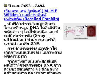 ปี พ.ศ. 2493 – 2494
เอ็ม เอช เอฟ วิลคินส์( M. H.F
Wilkins ) และโรซาลินด์
แฟรงคลิน (Rosalind Franklin)
นักฟิ สิกส์ชาวอังกฤษ ศึกษา
โครงสร้างของ DNA ในสิ่งมีชีวิต
ชนิดต่าง ๆ โดยใช้เทคนิค เอกซ ์
เรย์ดิฟแฟรกชัน (X-ray
diffraction) ด้วยการฉายรังสี
เอกซ ์ผ่านผลึก DNA
การหักเหของรังสีเอกซ ์ทาให้
เกิดภาพบนแผ่นฟิ ล์ม ได้ภาพถ่าย
ที่ชัดเจนมาก
จากภาพถ่ายนี้นักฟิ สิกส์แปล
ผลได้ว่าโครงสร้างของ DNA จาก
สิ่งมีชีวิตชนิดต่าง ๆ มีลักษณะที่
 