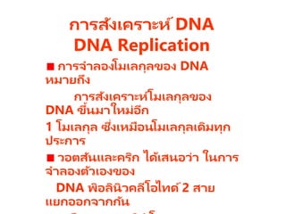 การสังเคราะห์DNA
DNA Replication
การจาลองโมเลกุลของ DNA
หมายถึง
การสังเคราะห์โมเลกุลของ
DNA ขึ้นมาใหม่อีก
1 โมเลกุล ซึ่งเหมือนโมเลกุลเดิมทุก
ประการ
วอตสันและคริก ได้เสนอว่า ในการ
จาลองตัวเองของ
DNA พิอลินิวคลีโอไทด์2 สาย
แยกออกจากกัน
 