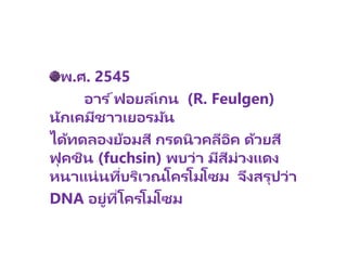 พ.ศ. 2545
อาร ์ฟอยล์เกน (R. Feulgen)
นักเคมีชาวเยอรมัน
ได้ทดลองย้อมสี กรดนิวคลีอิค ด้วยสี
ฟุคชิน (fuchsin) พบว่า มีสีม่วงแดง
หนาแน่นที่บริเวณโครโมโซม จึงสรุปว่า
DNA อยู่ที่โครโมโซม
 