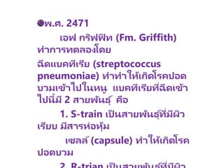 พ.ศ. 2471
เอฟ กริฟฟิ ท (Fm. Griffith)
ทาการทดลองโดย
ฉีดแบคทีเรีย (streptococcus
pneumoniae) ทาทาให้เกิดโรคปอด
บวมเข้าไปในหนู แบคทีเรียที่ฉีดเข้า
ไปนี้มี 2 สายพันธุ ์ คือ
1. S-train เป็ นสายพันธุ ์ที่มีผิว
เรียบ มีสารห่อหุ้ม
เซลล์(capsule) ทาให้เกิดโรค
ปอดบวม
่
 